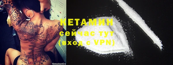 прущие грибы Медногорск