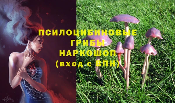 таблы Михайловка